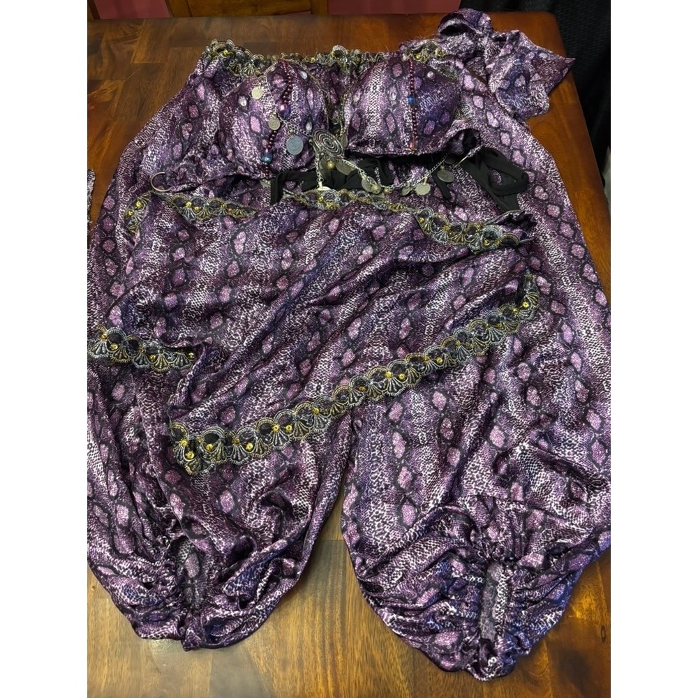 Belly Dance Costume Purple Snakeskin Bra Skirt Set Coins Custom Size ~ 2x‎ 40D